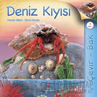 Çevir Bak - Deniz Kıyısı (Ciltli)