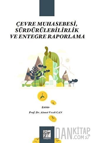 Çevre Muhasebesi, Sürdürülebilirlik ve Entegre Raporlama