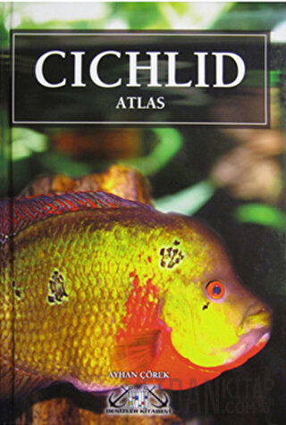 Cichlid Atlas (Ciklet Atlası - Akvaryum Balıkları) (Ciltli) Ayhan Çöre