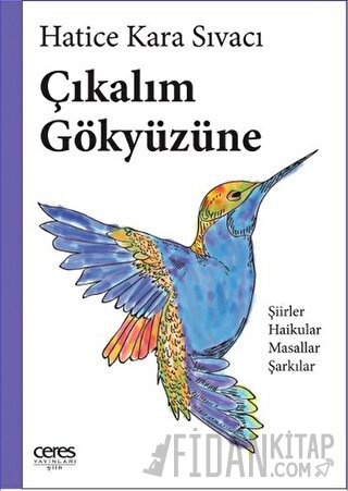 Çıkalım Gökyüzüne