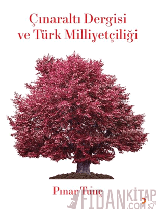 Çınaraltı Dergisi ve Türk Milliyetçiliği