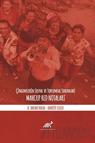 Çingenelerin Sosyal ve Toplumsal Sorunları