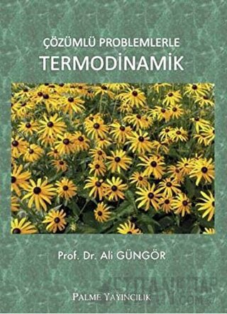 Çözümlü Problemlerle Termodinamik