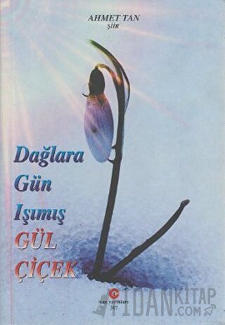 Dağlara Gün Işımış Gül Çiçek