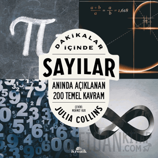 Dakikalar İçinde Sayılar - Anında Açıklanan 200 Temel Kavram