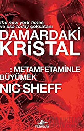 Damardaki Kristal: Metamfetaminle Büyümek