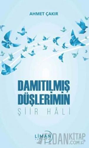 Damıtılmış Şiirlerimin Şiir Hali