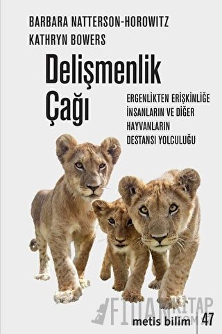 Delişmenlik Çağı
