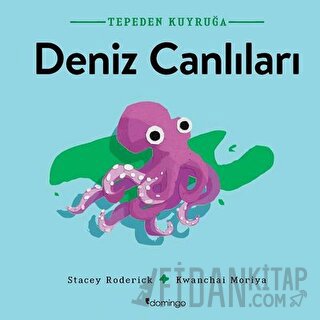 Deniz Canlıları - Tepeden Kuyruğa