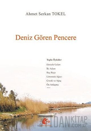 Deniz Gören Pencere