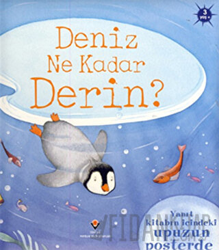 Deniz Ne Kadar Derin? (Sünger Kapaklı) (Ciltli)