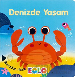 Denizde Yaşam Kolektif