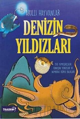 Denizin Yıldızları