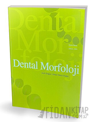 Dental Morfoloji