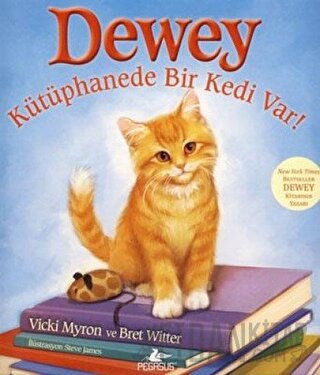 Dewey - Kütüphanede Bir Kedi Var! (Ciltli)