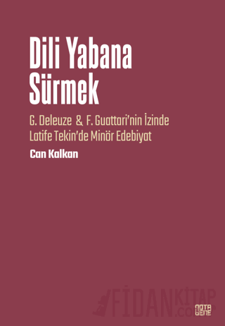 Dili Yabana Sürmek