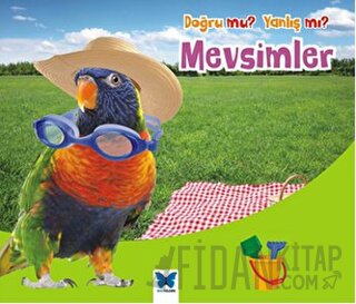 Doğru mu? Yanlış mı?: Mevsimler