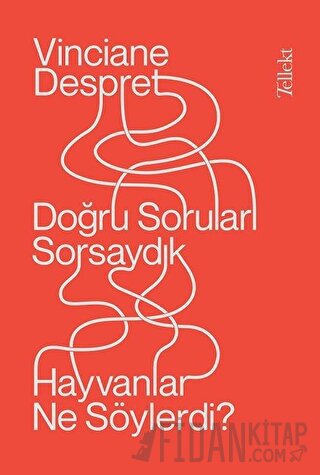 Doğru Soruları Sorsaydık Hayvanlar Ne Söylerdi?