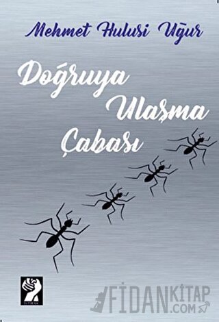 Doğruya Ulaşma Çabası