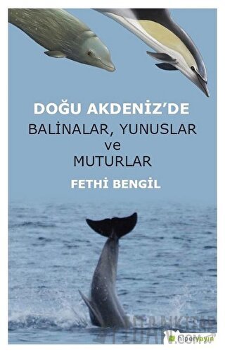 Doğu Akdeniz'de Balinalar, Yunuslar ve Muturlar