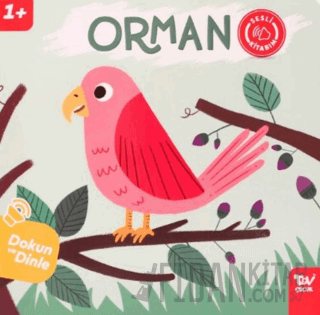 Dokun ve Dinle Sesli Kitabım Orman