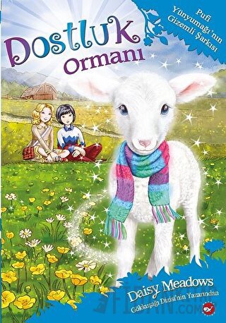 Dostluk Ormanı 12 - Pufi Yünyumağı'nın Gizemli Şarkısı