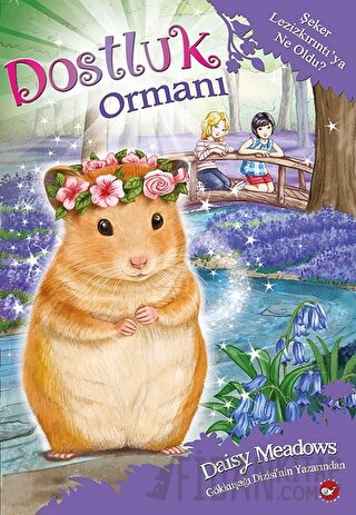 Dostluk Ormanı 9 - Şeker Lezizkırıntı’ya Ne Oldu?