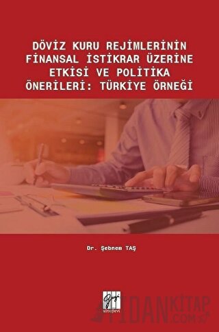 Döviz Kuru Rejimlerinin Finansal İstikrar Üzerine Etkisi ve Politika Önerileri: Türkiye Örneği
