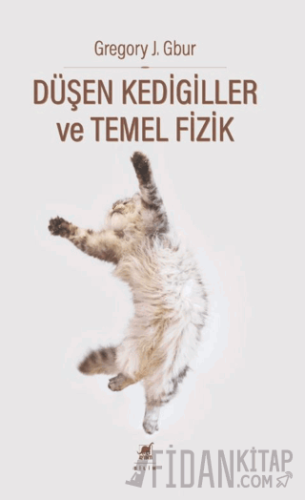Düşen Kedigiller ve Temel Fizik