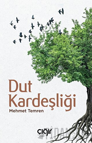 Dut Kardeşliği Mehmet Temren
