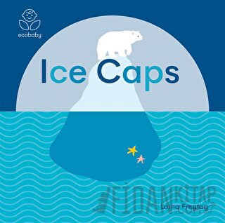 Eco Baby: Ice Caps (Ciltli)