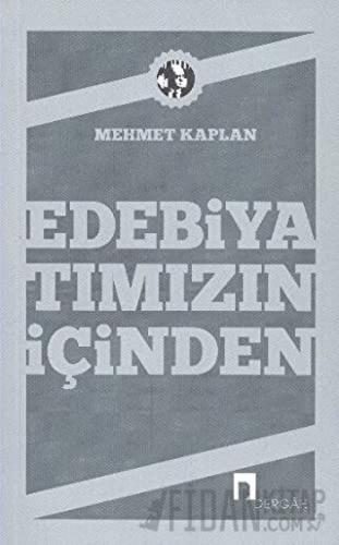 Edebiyatımızın İçinden Mehmet Kaplan
