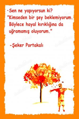 Şeker Portakalı (20 Cm X 30 Cm) Mini Retro Ahşap Poster