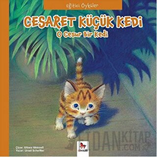 Eğitici Öyküler - Cesaret Küçük Kedi