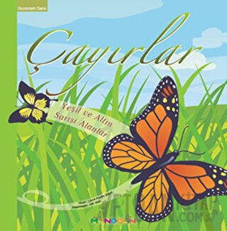 Ekosistem 2. Kitap: Çayırlar