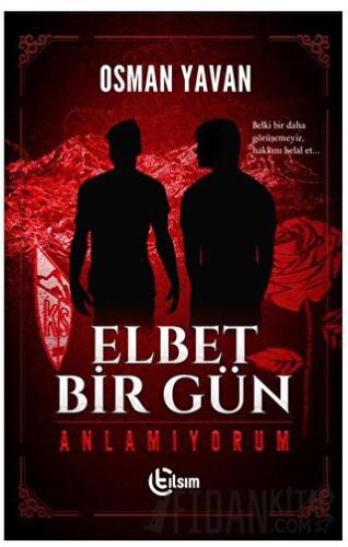 Elbet Bir Gün - Anlamıyorum