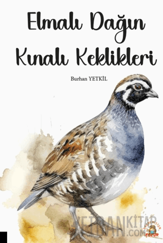 Elmalı Dağın Kınalı Keklikleri