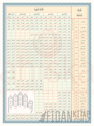 Emsile Bina Şeması Renkli