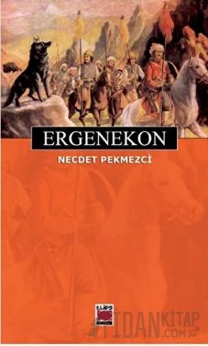 Ergenekon Necdet Pekmezci