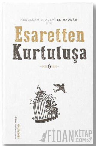 Esaretten Kurtuluşa