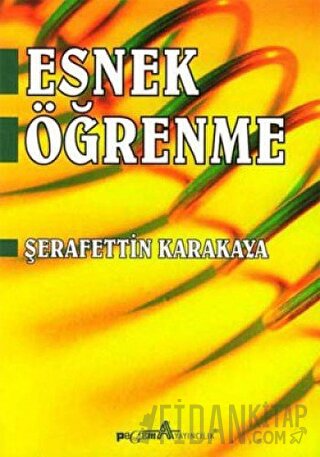 Esnek Öğrenme