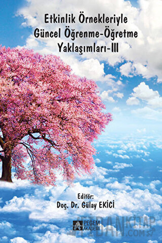 Etkinlik Örnekleriyle Güncel Öğrenme - Öğretme Yaklaşımları 3