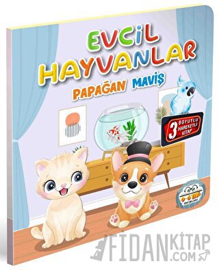 Evcil Hayvanlar Papağan Maviş