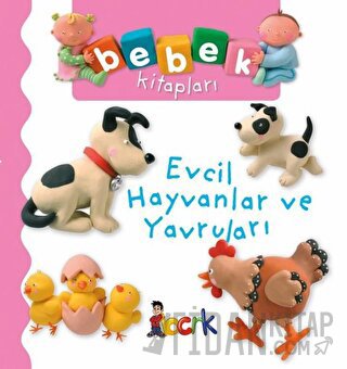 Evcil Hayvanlar ve Yavruları (Ciltli)