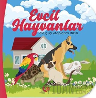 Evcil Hayvanlar