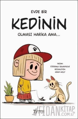 Evde Bir Kedinin Olması Harika Ama