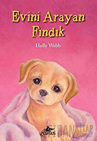 Evini Arayan Fındık