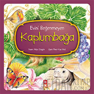 Evini Beğenmeyen Kaplumbağa