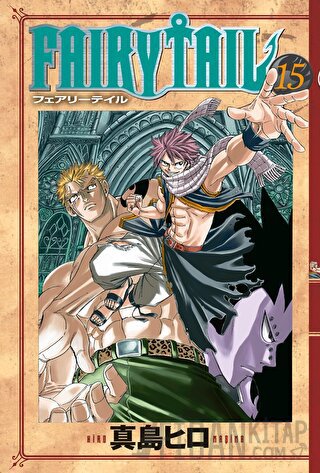 Fairy Tail 15. Cilt
