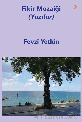 Fikir Mozaiği (Yazılar)